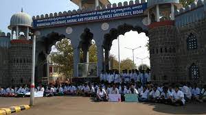 Karnataka Veterinary Animal and Fisheries Sciences University [KVAFSU],  Bidar: Courses, Fees, Placements