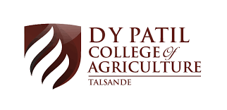 D. Y. Patil  logo