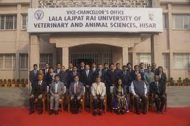 Lala Lajpat Rai University of Veterinary & Animal Sciences [LLRUVAS],  Hisar: Courses, Fees, Placements
