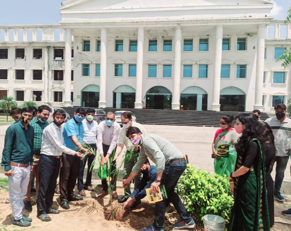 Plantation Nirwan University in Jaipur