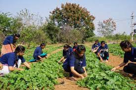 Farming Activiti Bharatiya Engineering Science and Technology Innovation University in Anantapur