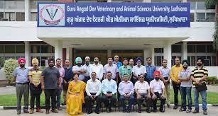 Guru Angad Dev Veterinary & Animal Sciences University [GADVASU], Ludhiana:  Courses, Fees, Placements